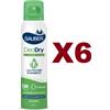 Sauber 6 PZ SAUBER DEODRY DEODORANTE SPRAY 150ML INVISIBLE FRESCO E ASCIUTTO