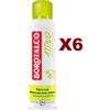 Borotalco 6 PZ BOROTALCO DEODORANTE SPRAY ATTIVO PROFUMO CEDRO E LIME 150ML