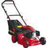 Globex Tosaerba Rasaerba a Scoppio Motore 4 Tempi 139 cc 2200 W GX 139/2200 TO Globex