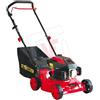Globex Tosaerba Rasaerba a Scoppio Motore 2 Tempi 80 cc 1500 Watt GX 13951 TO Globex