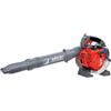 EFCO SOFFIATORE SA 2500 A SCOPPIO 2 TEMPI
