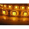 72w 24v 24volt 5m smd5050 ARANCIONE IMPERMEABILE LED STRIP STRISCIA IP65 C5C2