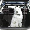 Green Valley 127101 Grille Guard Dog Piedi Diritti, Numero 1