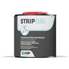CAMP Stripgel - Sverniciatore per Legno Metallo Ferro e Altre Superfici, Formula in Gel Pronta all'Uso Ideale per Rimuovere Ogni Tipo di Vernice - Adatto per Superfici Verticali e Orizzontali, 750ml