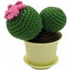 Amigurumi uncinetto crochet pianta grassa cactus ricamato e vaso fiore N31