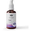 Bush B. Pty Ltd Australia TRAVEL Vaporizzatori ambiente e corpo
