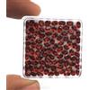 Gemworldjaipur Granato naturale taglio ovale pietra preziosa granato rosso lotto sfuso 184 p...