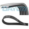 DAYCO Cinghia Poly-V DAYCO 5PK1150S