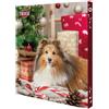 Trixie Calendario Avvento per Cani, Nuovo