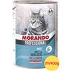 Morando Umido Gatto Professional Adult Patè Merluzzo 24x400g Umido gatti offerta