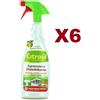CITROSIL 6 CITROSIL HOME PROTECTION SGRASSATORE DISINFETTANTE SPRAY 650ML ESSENZE LIMONE