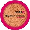 Debby Blush Experience Mat Finish 05 Sunny Fard Compatto 9g