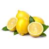 AMDGarden PIANTA albero LIMONE LUNARIO 4 STAGIONI VASO18CM agrumi sicilia h130cm FOTO REAL