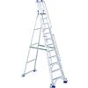 Svelt Regina 4WD VIP SREGIVIPWD12 Scala 12 Gradini con Ruote e Corrimano