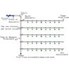 Irritrol Kit irrigazione giardino goccia orto impianto completo modulare 50 mq ampliabile