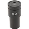 WF5X Microscopio biologico Widefield Oculare Lente ottica 23.2mm per Lab
