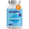Gloryfeel Creatina Monoidrata 320 Capsule 3000 mg di Creatina Pura per Dose Amminoacido