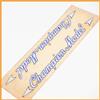 OLMO NOS ORIGINAL COPPI CHAMPION DOWN TUBE DECAL VINTAGE ROAD BIKE OLD DECALS WHITE