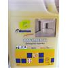 DOMUS 1 LAVAPAVIMENTI INDUSTRIALE DETERGENTE DETERSIVO SGRASSANTE HCCP PROFESSIONALE
