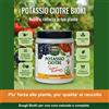 Bioki Bicarbonato di Potassio elevata purezza indicato per Orto - Frutteto - Giardino-