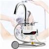 Rubinetto Elettrico Caldaia 3000W Riscaldatore Doccetta Miscelatore Acqua Calda