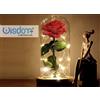 Wisdom Decorazione Di Natale Luce A Batteria Rosa Luce Calda Regali Natalizi Addobbo