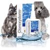 Does not apply ICF Clorexiderm OTO 150Ml - Igiene Toeletta Cane