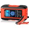 Husgw 10A Caricabatteria da Auto 12V / 24V 10A Multi Protezioni Carica Batteria Moto