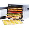 Vita5 Essiccatore Alimentare con 6 Vassoi in Acciaio Inox - Essicatore (N9b)