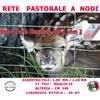 MADE IN ITALY RETE PASTORALE PER RECINZIONE PECORE ANIMALI RETE PASTORIZIA M15 H.140 MT 50
