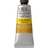 Winsor & Newton Galeria Colore Acrilico 60 ml - Terra di Siena Naturale Opa Ribd