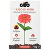 Asso Di Fiori - Concime Piante Verdi Grasse E Fiorite in Polvere Solubile, Ferti