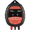 Caricabatterie per Recinzioni Elettriche 10 kV 1 J con Indicatore LED