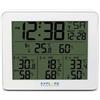 Explore Scientific WSH4003 Bianco LCD Batteria
