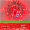 ettroit Catena luminosa 100 led luci di Natale 10mt prolungabile da esterno ip65