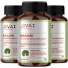 JIVA Brahmi Tablets (120tab) Integratore Ayurvedico per il cervello, migliora...