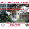 MADE IN ITALY RETE PASTORALE PER RECINZIONE PECORE ANIMALI RETE PASTORIZIA M15 H.100 MT 50