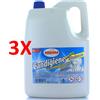 AMACASA 3 X Amacasa Candigiene Candeggina Della Nonna 5 Lt.