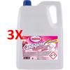 AMACASA 3 X Candigiene Candeggina Extra Profumata Della Nonna Tanica 5 Lt. Amacasa