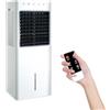 Avilia - Raffrescatore d'Aria 1100W con Tanica 8L, Funzione Freddo/Caldo e Telecomando -, Touch Control e Ionizzatore per Casa e Ufficio