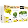 Semillas Batlle Productos Jardineria Seed Box Mini Ensaladas