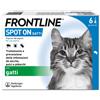 FRONTLINE Spot On 6 Pipette Gatto Antiparassitario per Gatti e Gattini di Lunga Durata