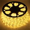 Does not apply 30M Tubo Luminoso LED Flessibile,Impermeabile LED Tubo Luminoso Esterna Interna