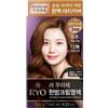 RYO Uachae Bright Color Hair Dye Cream #7O Orange Brown Self Hair Dye K-Beauty