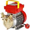 ROVER POMPE ELETTROPOMPA POMPA TRAVASO ELETTRICA ROVER BE-M 30 TURBO LIQUIDI LEGA E BRONZO