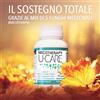 Micotherapy Supporta il tuo sistema immunitario con Micotherapy U-CARE 5 funghi Medicinali