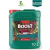 CANNA Stimolatore fioritura qualità nutrizione coltivazione canna boost accelerator