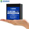 DCHOUSE 12V 6Ah LiFePO4 Mini 4000 volte ciclo profondo della batteria litio ricaricabile