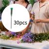 30 tubi per fiori con gambo e tappo per acqua, fiale fiori, negozio di fiori