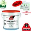 BOERO BIANCO PLUS pittura idropittura bianca traspirante antiumidità coprente
